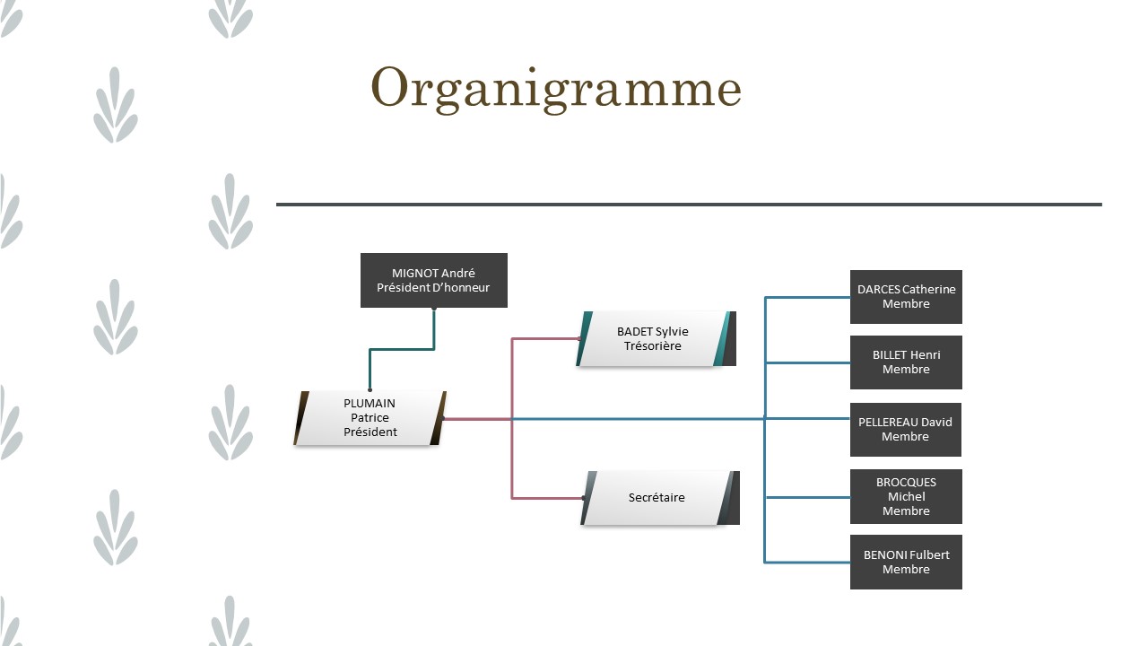 CDC93 organigramme 2021